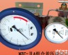 MZC型系列 MZC型系列组合差压液位计