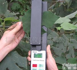  厂家批发 活体<em>叶面积</em><em>测定仪</em> <em>叶面积</em><em>测定仪</em> <em>叶面积</em>仪