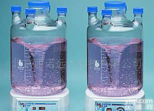  大样品量磁力<em>搅拌器</em> 美国（<em>标准型</em>/数字型）