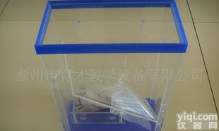  植物<em>光合</em>、呼吸、蒸腾<em>作用</em>演示器