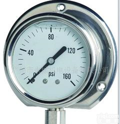  厂家Y-100BF不锈钢<em>压力表</em> 全不锈钢耐震<em>压力表</em> <em>欢迎来电</em>咨询