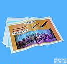  中小<em>音乐教学</em>挂图