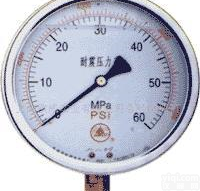  【质量保证 <em>诚信经营</em>】耐震<em>压力表</em>