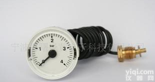  <em>壁挂炉</em>用40mm<em>毛细管</em>蒸汽压力表(图)