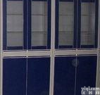  厂家专业生产销售木制<em>器皿柜</em>，钢制<em>器皿柜</em>，<em>器皿柜</em>