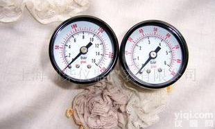  1.5“ YT40-Z 轴向 <em>压力表</em>(图)