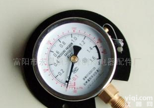 <em> 精密真空压力表</em> YL1