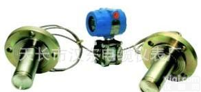  3051双<em>法兰</em><em>液位</em><em>变送器</em>/双<em>法兰</em>差压<em>变送器</em>/1151双<em>法兰</em><em>液位</em><em>变送器</em>