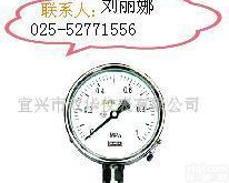  氨用<em>压力表</em>(图)