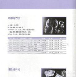  <em>细胞培养皿</em> <em>细胞培养皿</em> <em>细胞培养皿</em> <em>细胞培养皿</em>