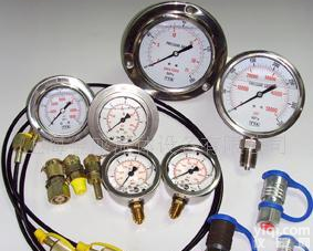  Tecsis压力表 <em> 进口压力表</em>  进口耐震压力表