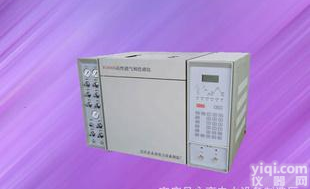  厂家直销YG900A<em>高性能</em><em>气相色谱仪</em>、<em>气相色谱仪</em>