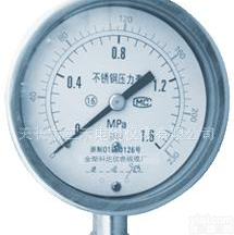 <em> YBF/YBFN不锈钢压力表</em> 多种型号压力表 压力表