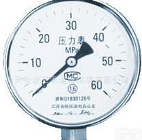 YN60BF 1Mpa <em>耐震</em>不锈钢<em>压力表</em> 防震<em>防腐</em> <em>压力表</em>厂