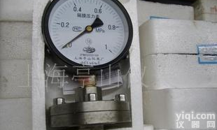  <em>膜片</em><em>压力表</em>(图)