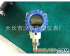 2088GP 智能压力变送器/HART压力变送器/电容式压力变送器/E+H型压力