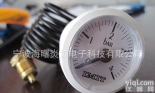  特价促销:<em>意大利</em>IMIT<em>毛细管</em>蒸汽<em>压力表</em>内径37mm(图)
