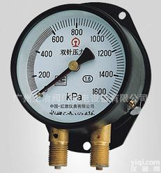  红旗PaiYZS-102双针双管<em>压力表</em>、广东<em>总代理</em>