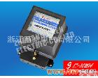 <em>DD862 DD862电能表</em>