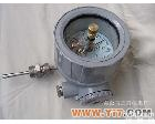 <em>WSSX 防爆电接点双金属温度计</em>