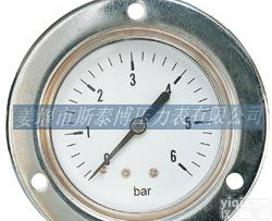  厂家直销 轴向一体带边式<em>压力表</em>、扣入式塑盖<em>压力表</em>（<em>Y50</em>、Y60）