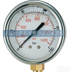  <em>径向</em>滚边式耐震表（Y40-Y100）） <em>欢迎选购</em>