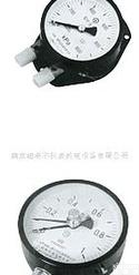  双针双管压力表  压力表