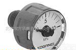  小型<em>压力计</em>G1-20<em>系列</em>