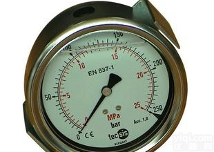  <em>IMT</em><em>压力表</em>(TECSIS)