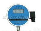  <em>全智能数字压力表</em>