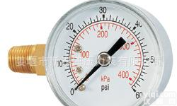  径向电镀表壳气压表（Y40~Y150)   <em>品质保证</em>  <em>售后</em>齐全