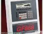 GE Panametrics GF868<em>火炬</em>气超声波质量流量计 GE Panametrics GF868<em>火炬</em>气超声波质量流量计