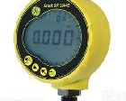 GE德鲁克(Druck) DPI 104-IS本质<em>安全型</em> 数字式标准<em>压力表</em> GE德鲁克(Druck) DPI 104-IS本质<em>安全型</em> 数字式标准<em>压力表</em>