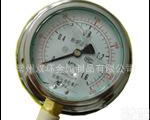 <em> YE系列不锈钢膜盒压力表</em>