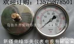  <em>YN</em>耐振<em>压力表</em>，耐振<em>压力表</em>生产商