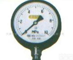  <em>YA氨压力表</em>