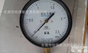 <em> 氧压力表</em>