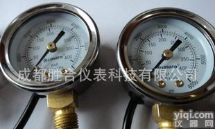  径向CNG<em>汽车</em><em>燃气</em><em>压力表</em>