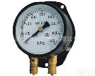 YZS-102 双针<em>压力表</em>厂家<em>直销</em>-----特价销售双针<em>压力表</em>
