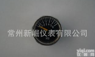 厂家优质<em>微型</em><em>压力表</em> 大量销售 <em>欢迎选购</em>