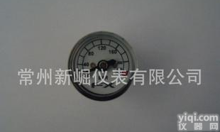  优质微型压力表 厂家专业生产 <em>质量上乘</em>