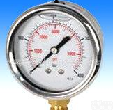  耐震<em>压力表</em> 不锈钢<em>压力表</em>  (PFSS-01)1Y63-L <em>径向</em>高压