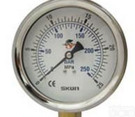 <em> SKON压力表</em>421-21-231-25E