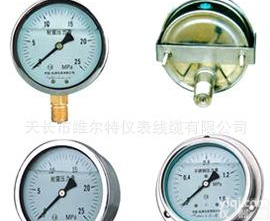  <em>维尔特</em>特种<em>压力表</em>YO/YA/YY