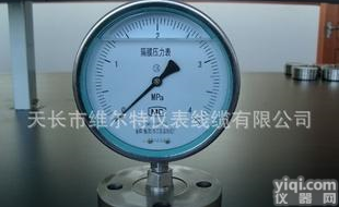 YPF 维尔特YPF系列<em>防腐</em>膜<em>片式</em><em>压力表</em>