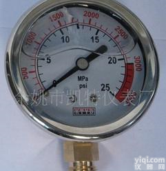  <em>耐震</em><em>压力表</em>,<em>水处理</em>设备<em>专用</em>