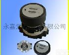  OGM25/40铸铝椭圆齿轮<em>流量计</em> 齿轮<em>流量计</em> <em>流量表</em> 电子齿轮<em>流量计</em>