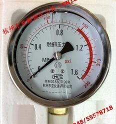  YN100<em>富阳</em>耐震<em>压力表</em> 冲油式<em>压力表</em> 耐震<em>压力表</em>