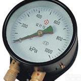  【质量保证】<em>不锈钢</em>双针双管<em>压力表</em>