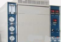 <em> 氧化锆气相色谱仪</em> 气相分析仪